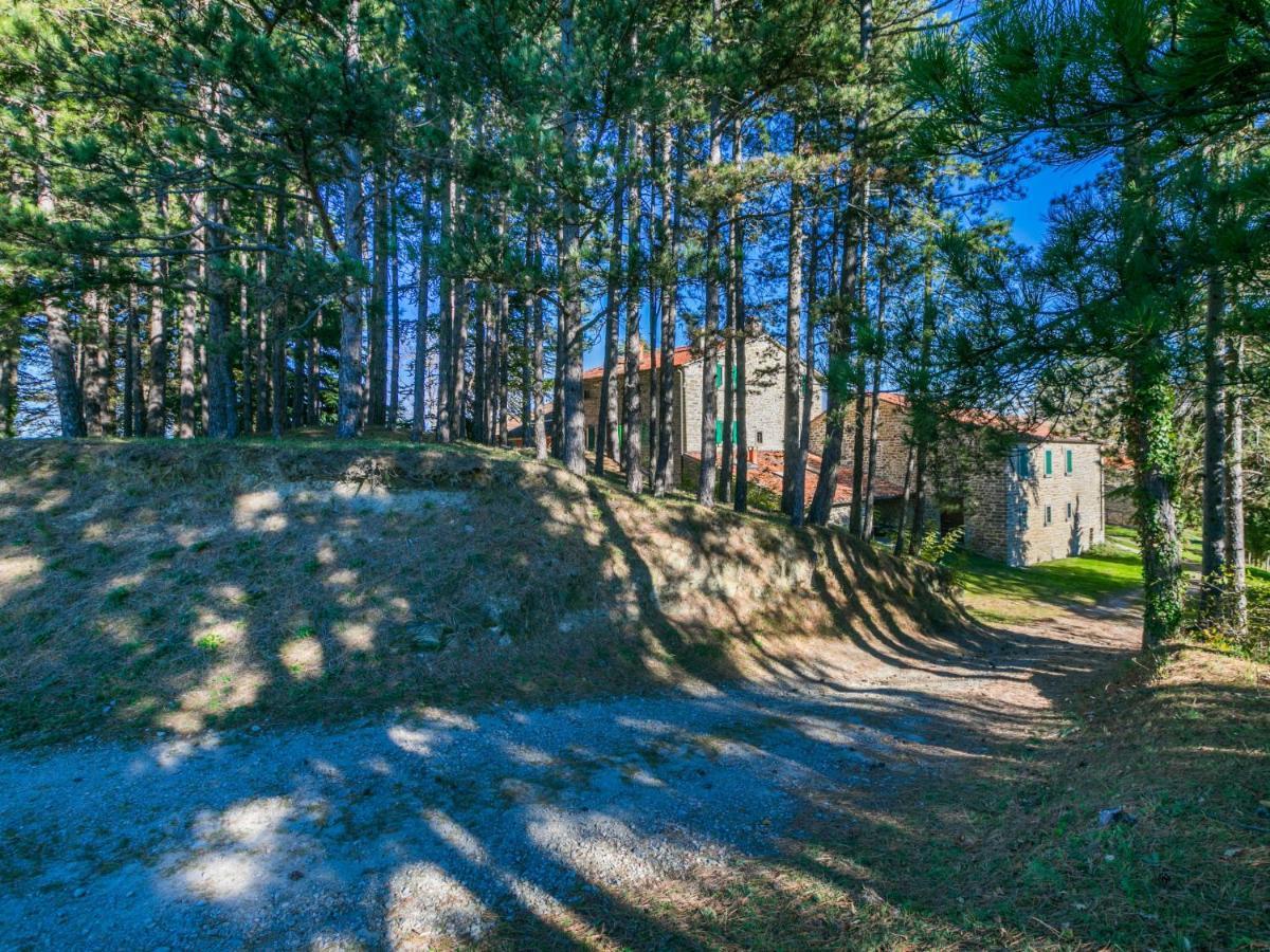 Holiday Home Al Volo Del Nibbio By Interhome Marradi Bagian luar foto